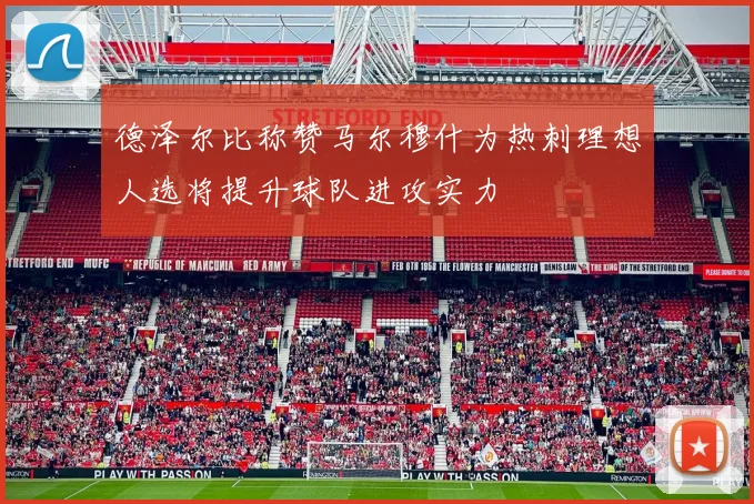德泽尔比称赞马尔穆什为热刺理想人选将提升球队进攻实力